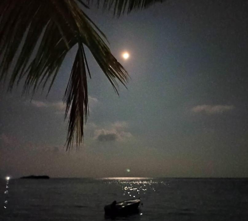 Photo of Others in Thoddoo