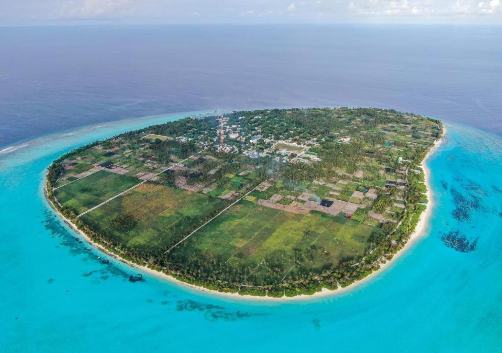 Photo of Others in Thoddoo