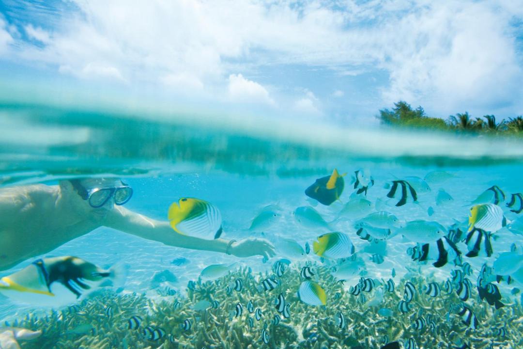 Photo of Others in Dhidhoofinolhu Island