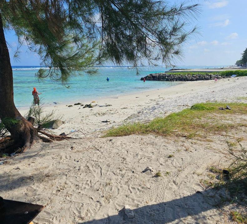 Photo of Others in Farukolhufushi Island