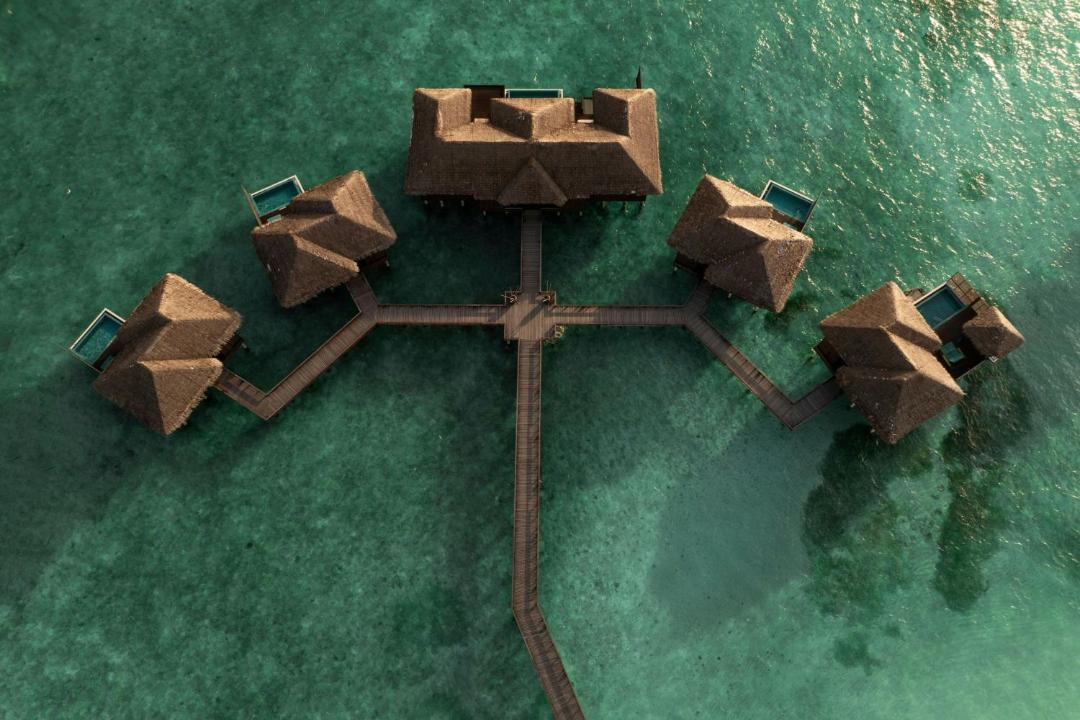 Photo of Others in Furanafushi Island