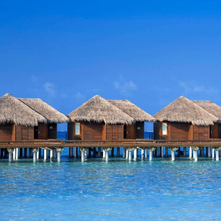 Photo of Others in Furanafushi Island