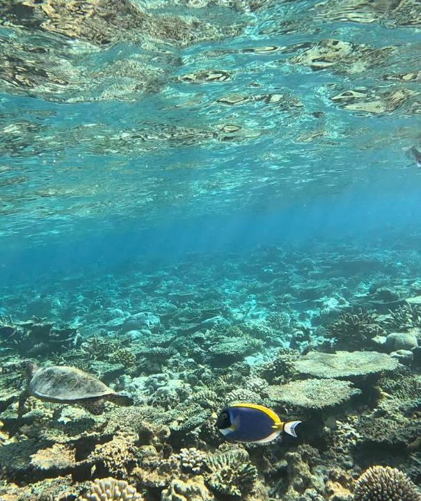 Photo of Others in Ukulhas