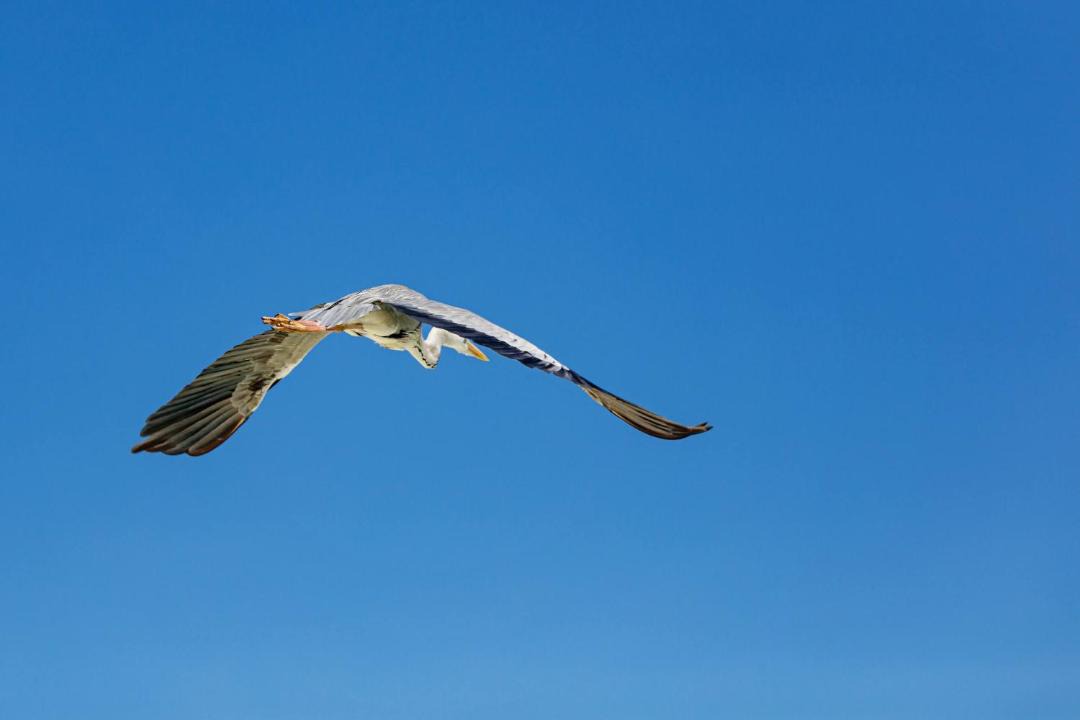 Photo of Others in Fulidhoo