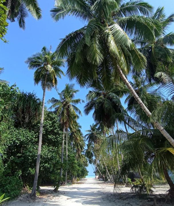 Photo of Others in Fulhadhoo