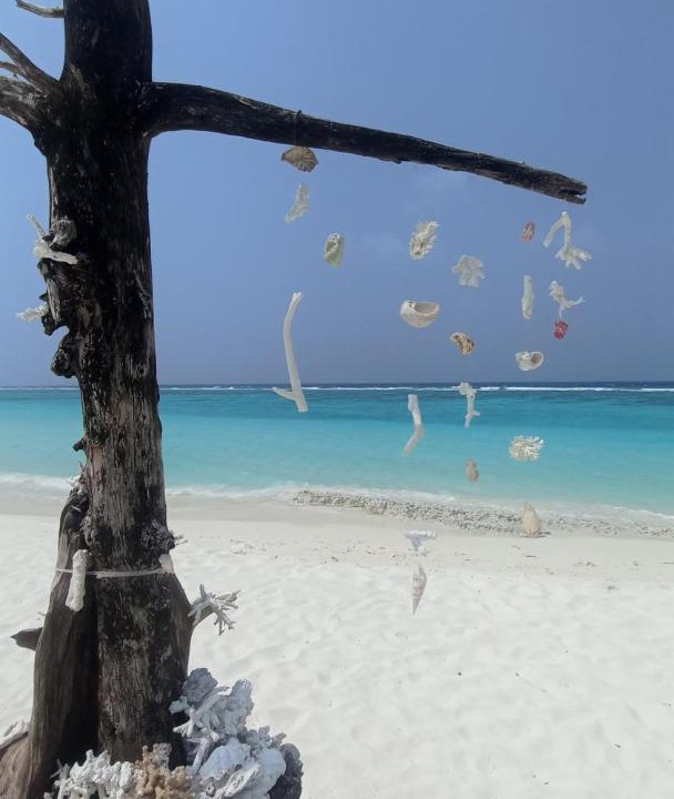 Photo of Others in Fulhadhoo