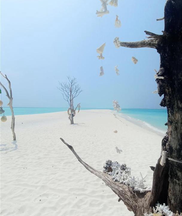 Photo of Others in Fulhadhoo