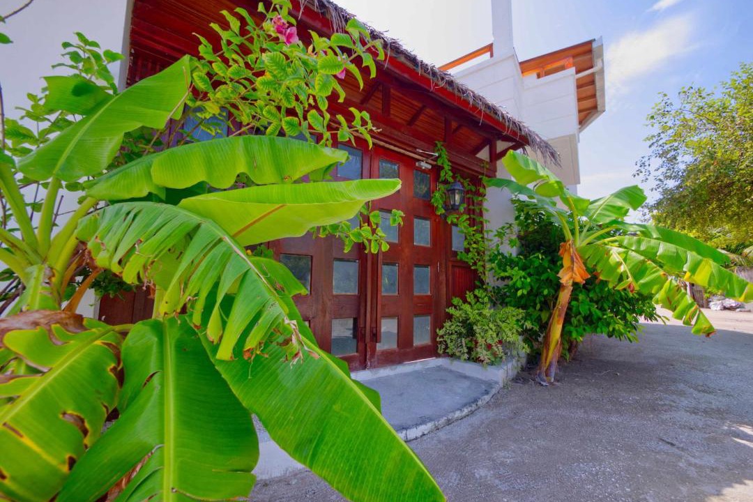 Photo of Others in Dhiffushi
