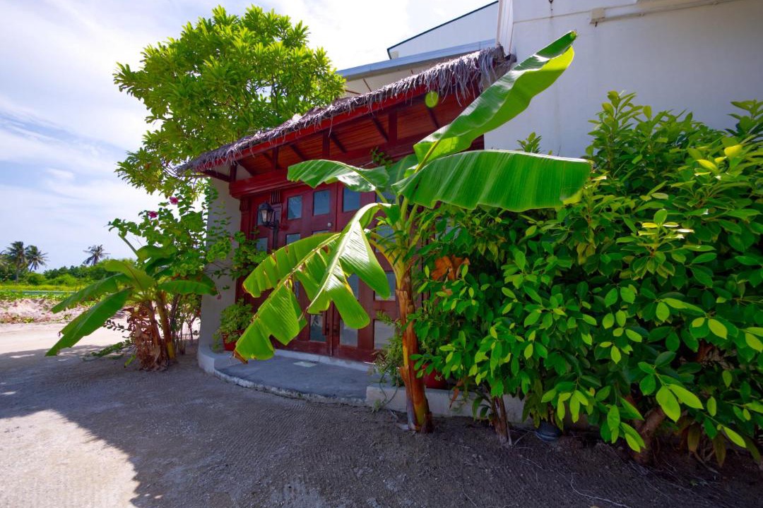 Photo of Others in Dhiffushi