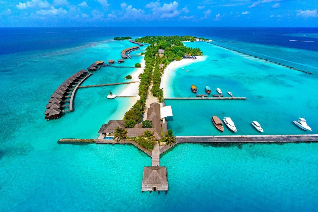 Photo of Others in Furanafushi Island