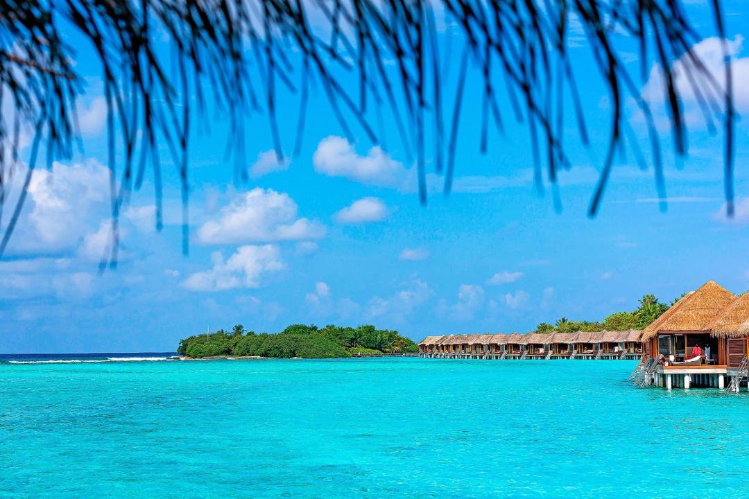 Photo of Others in Furanafushi Island