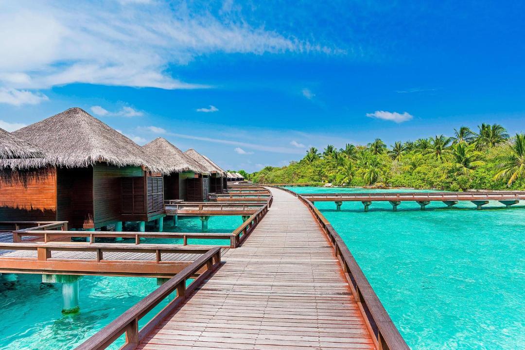 Photo of Others in Furanafushi Island