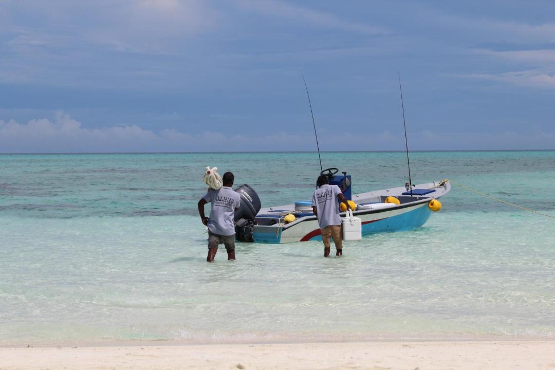 Photo of Others in Feridhoo