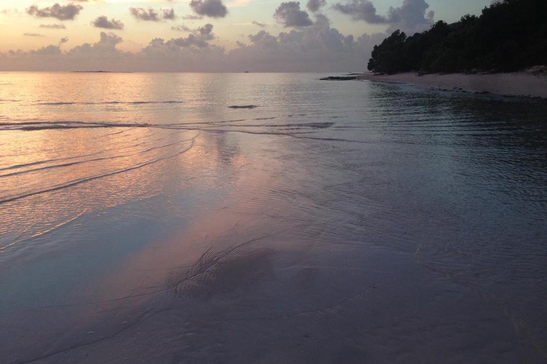 Photo of Others in Thoddoo