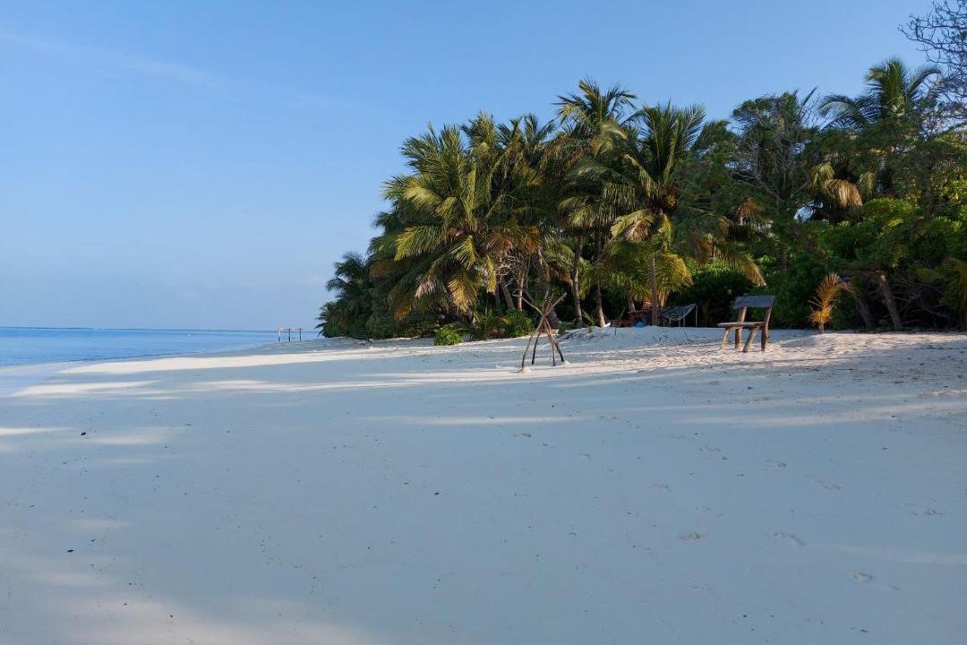 Photo of Others in Thoddoo