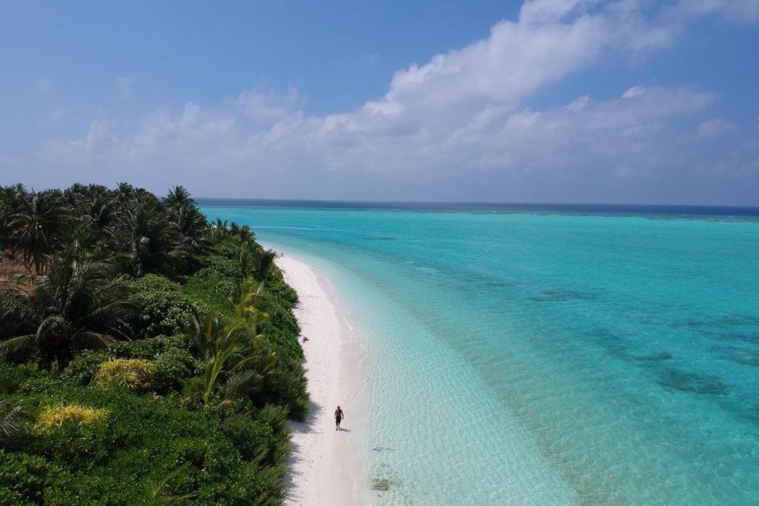 Photo of Others in Thoddoo