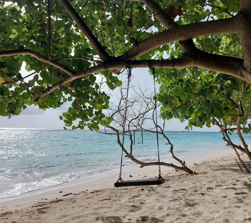 Photo of Others in Thoddoo