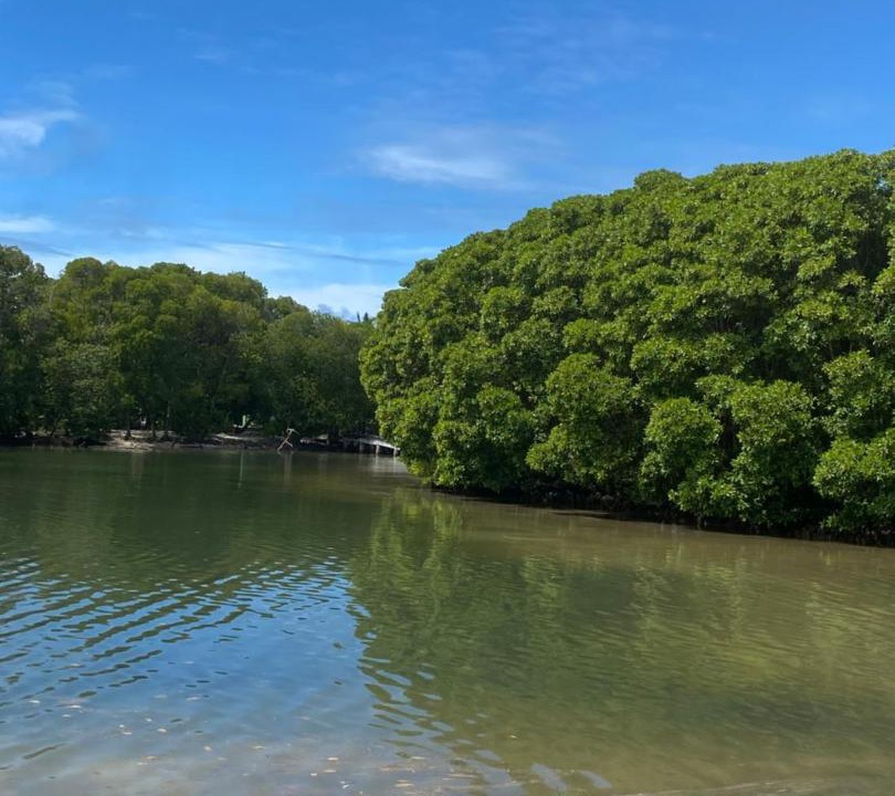 Photo of Others in Huraa