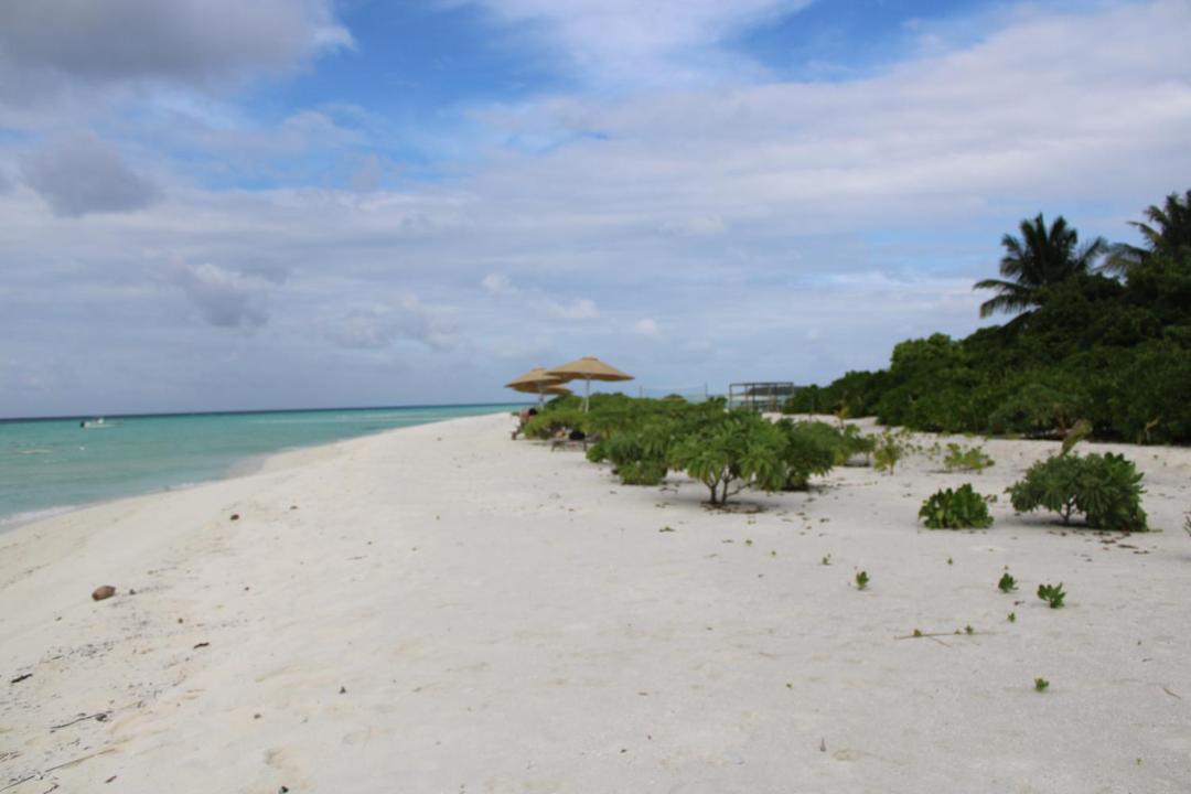 Photo of Others in Thimarafushi