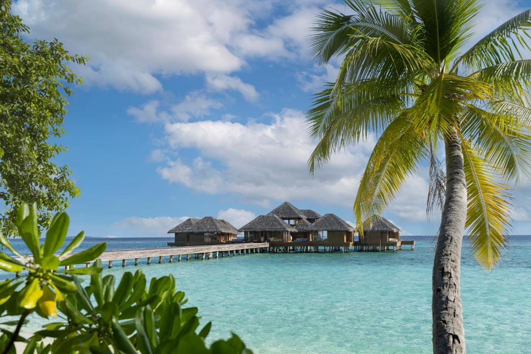 Photo of Others in Huvafen Fushi