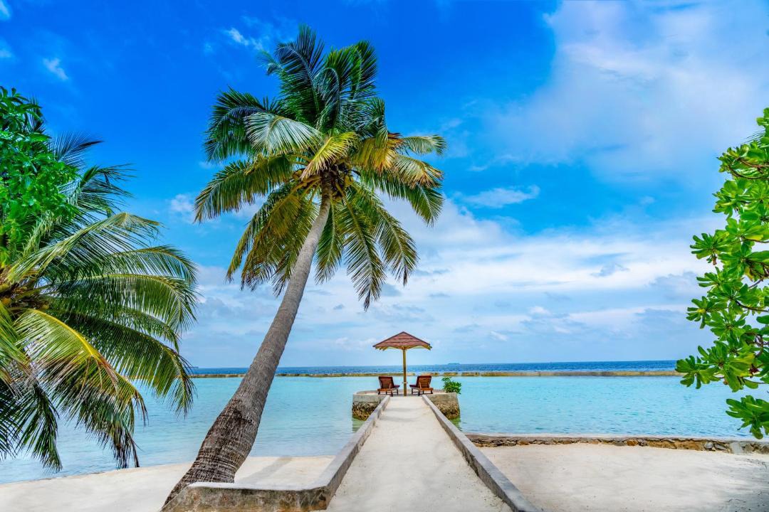 Photo of Others in Ellaidhoo