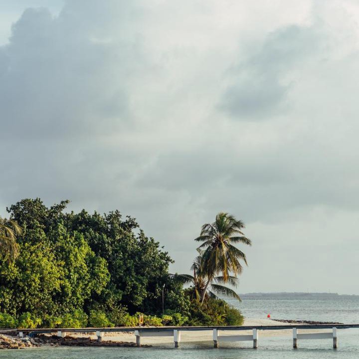Photo of Others in Hakuraa Huraa