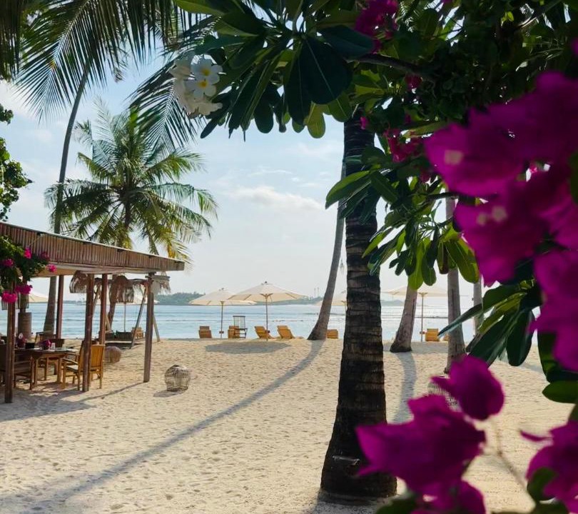 Photo of Others in Thulusdhoo Island