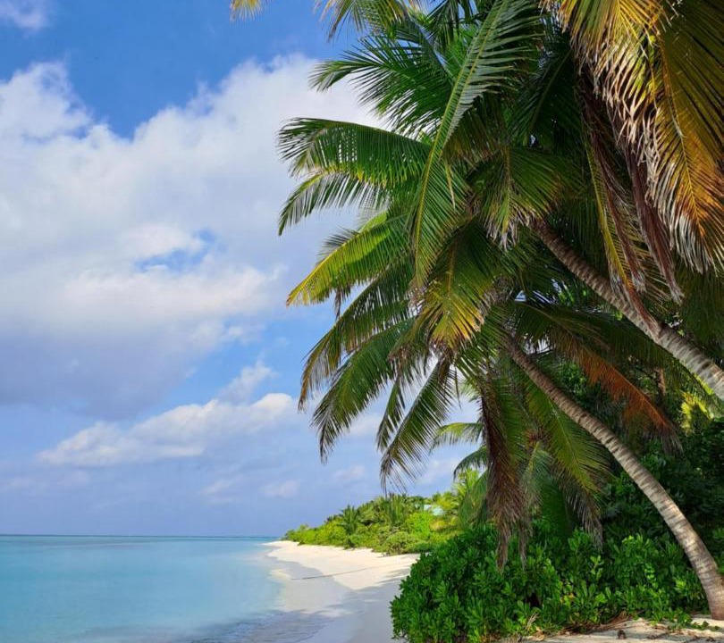 Photo of Others in Thoddoo