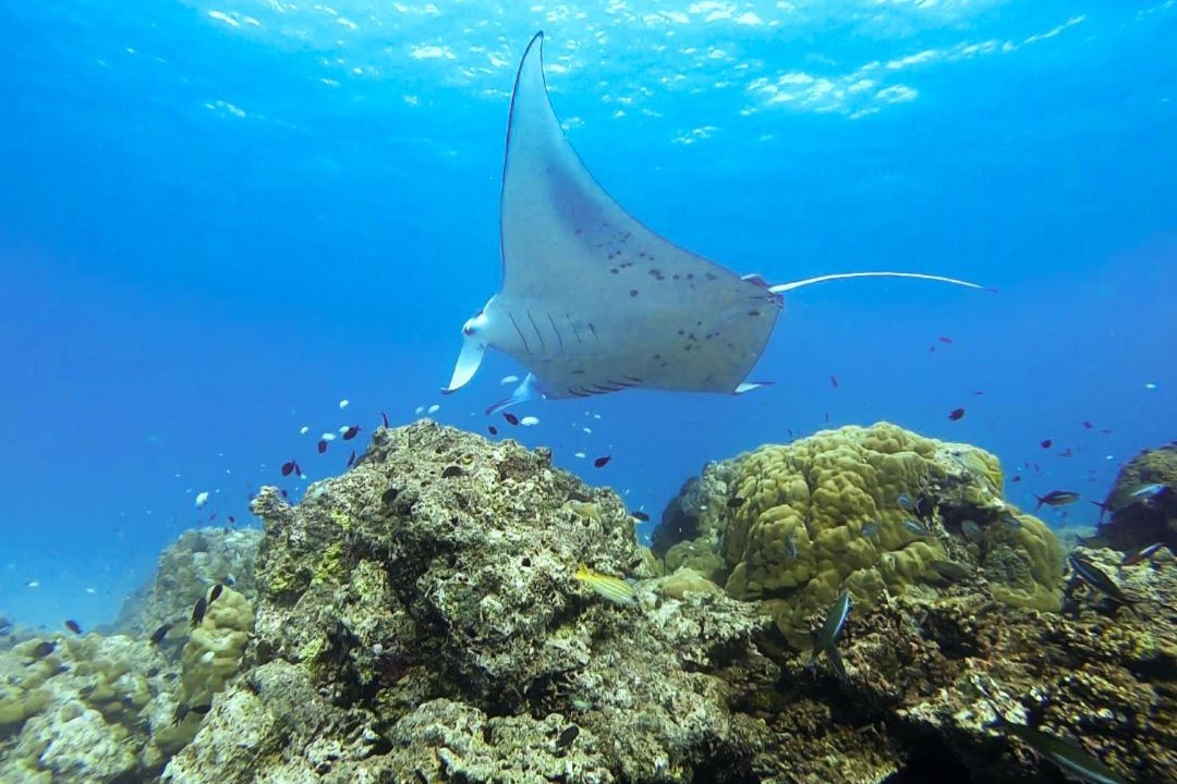 Photo of Others in Ukulhas