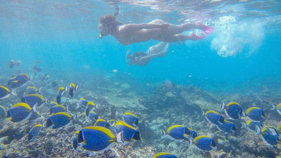 Photo of Others in Ukulhas