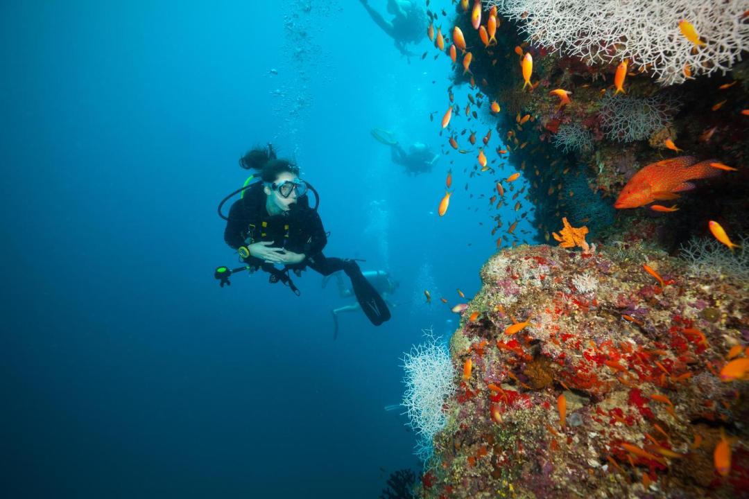 Photo of Others in Manafaru Island