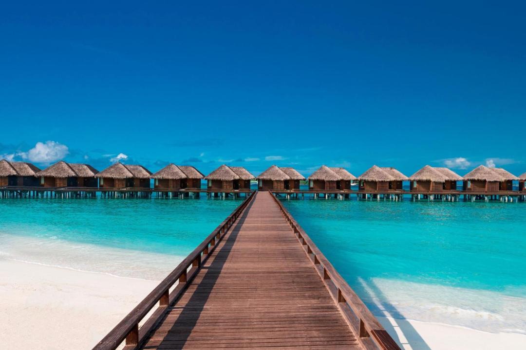 Photo of Others in Furanafushi Island