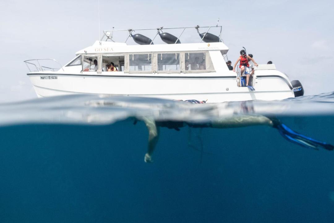 Photo of Others in Rasdhoo