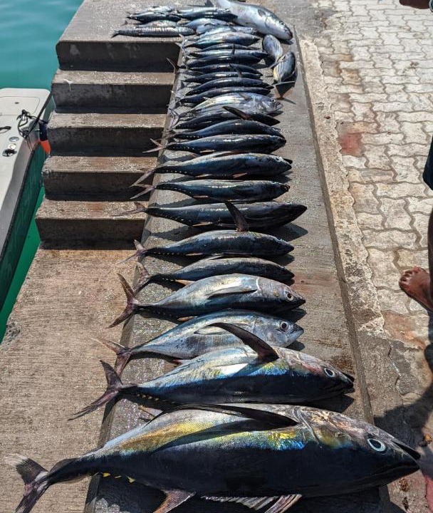 Photo of Others in Kendhoo