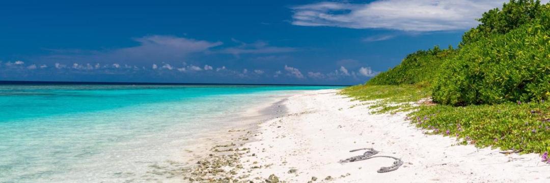 Photo of Others in Ukulhas
