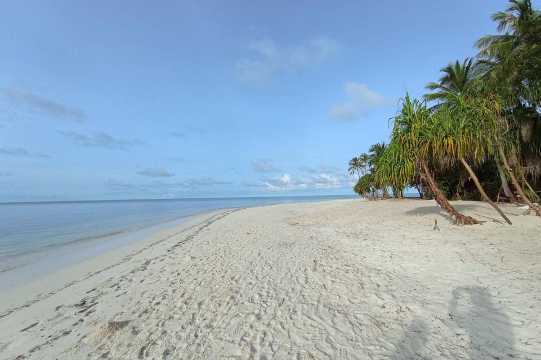Photo of Others in Goidhoo