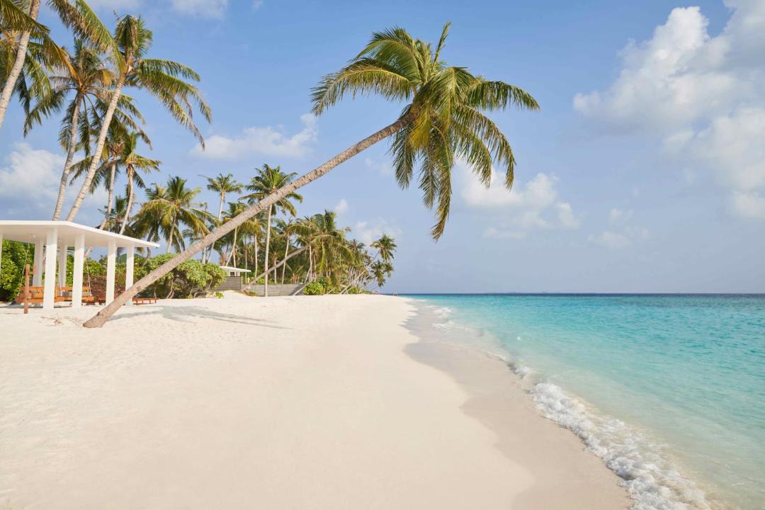 Photo of Others in Dhigurah