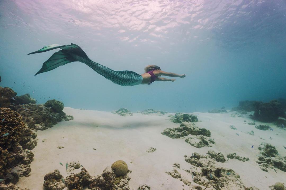 Photo of Others in Dhigurah