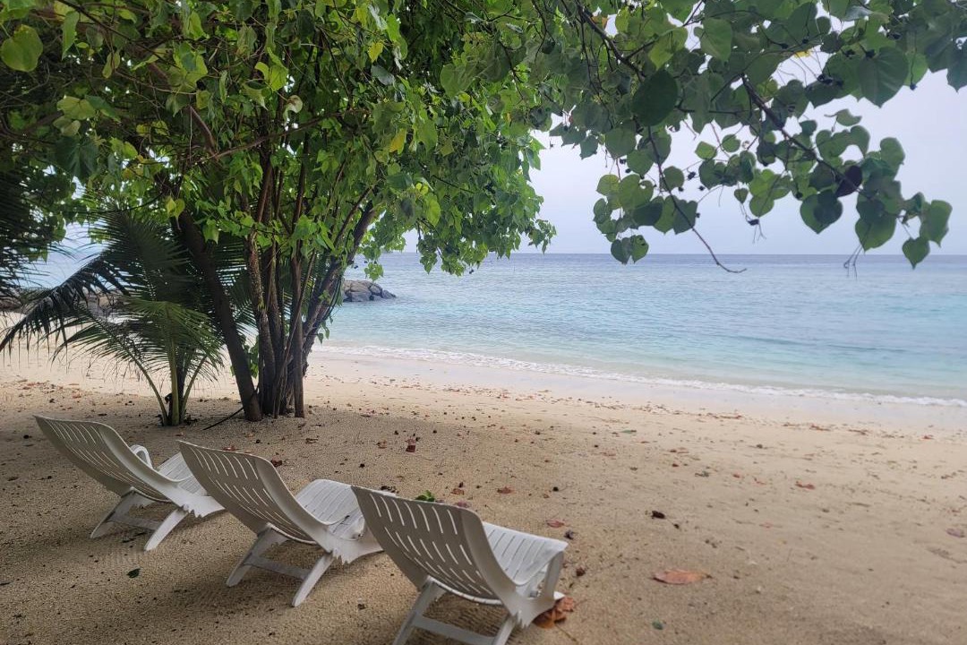 Photo of Others in Rasdhoo