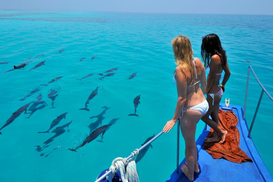 Photo of Others in Maafushi