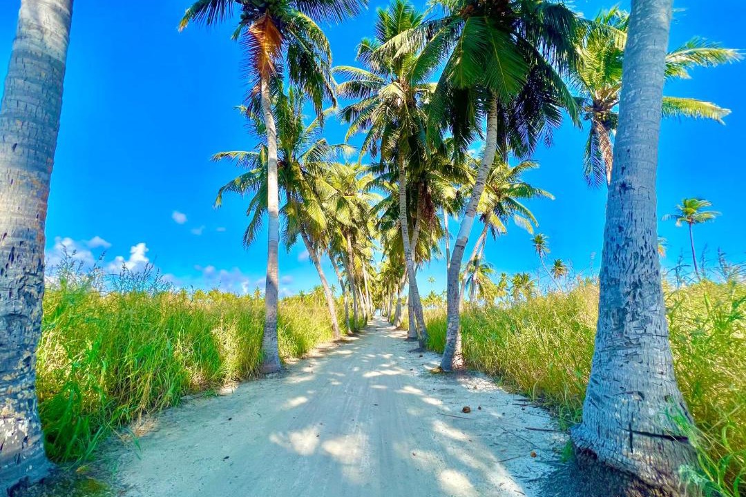 Photo of Others in Thoddoo