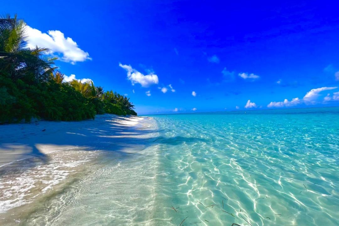 Photo of Others in Thoddoo