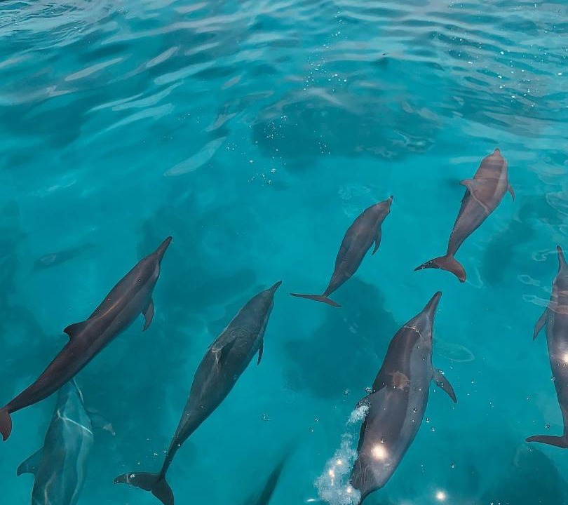 Photo of Others in Gaafaru