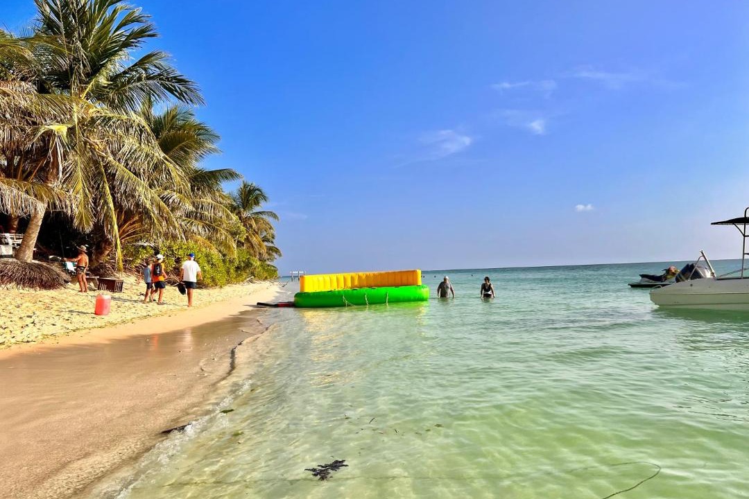 Photo of Others in Thoddoo