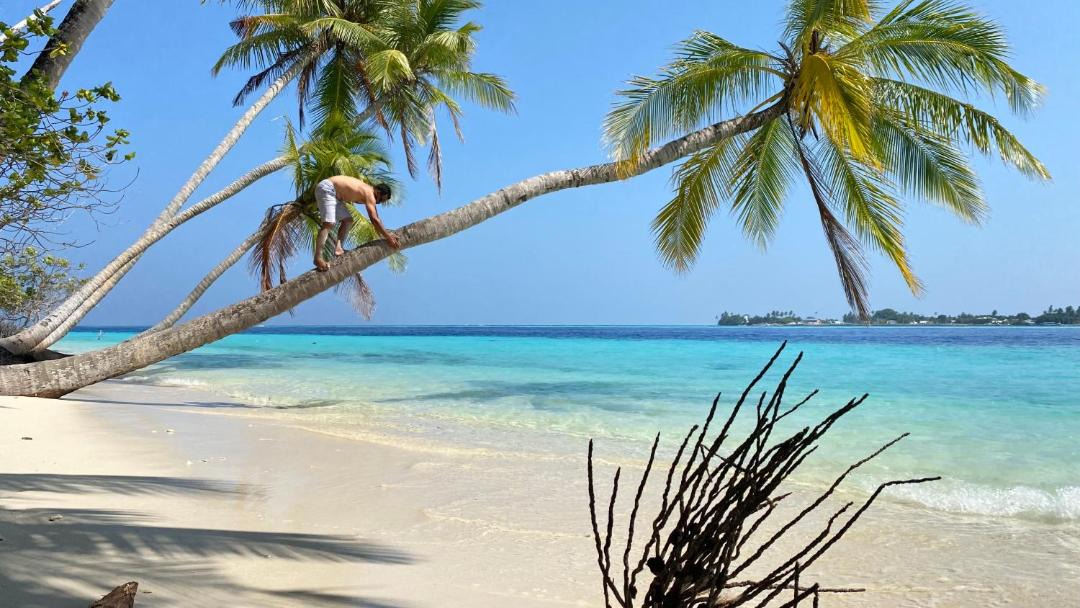 Photo of Others in Felidhoo