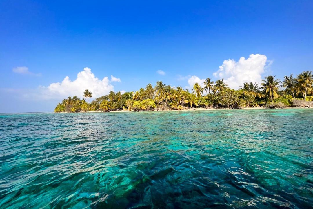Photo of Others in Thoddoo