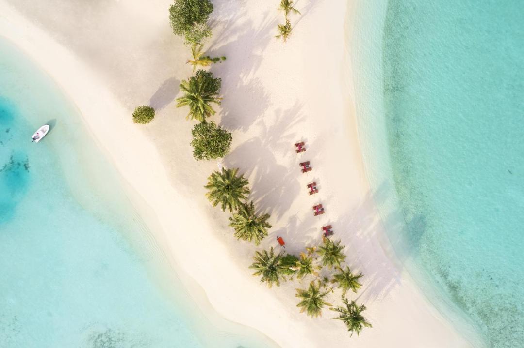 Photo of Others in Vilu Reef