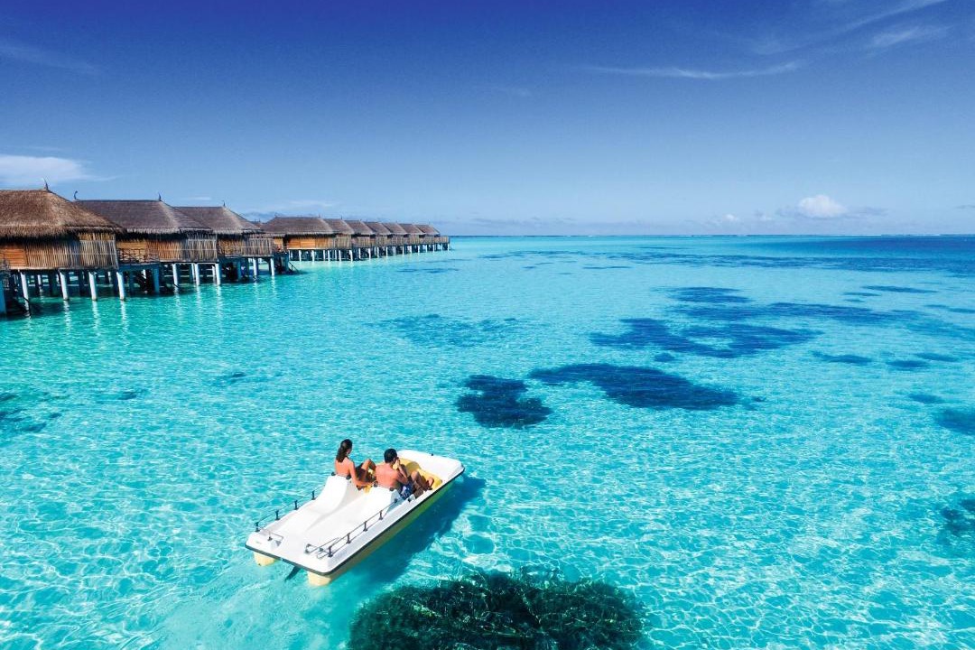 Photo of Others in Moofushi Island