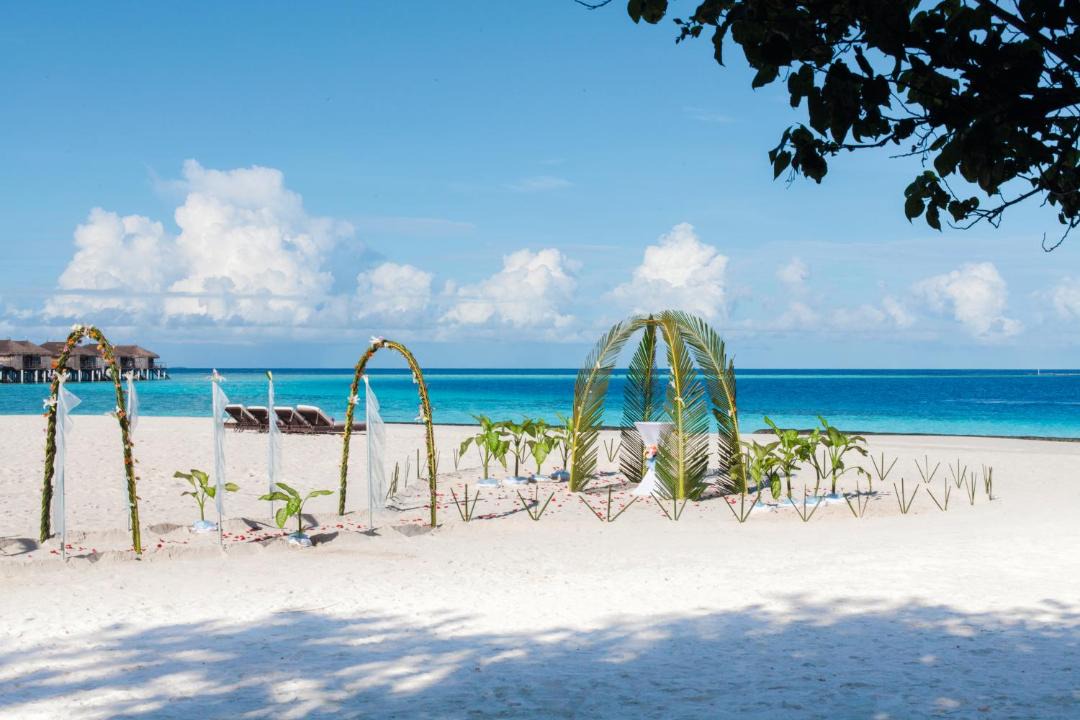 Photo of Others in Moofushi Island