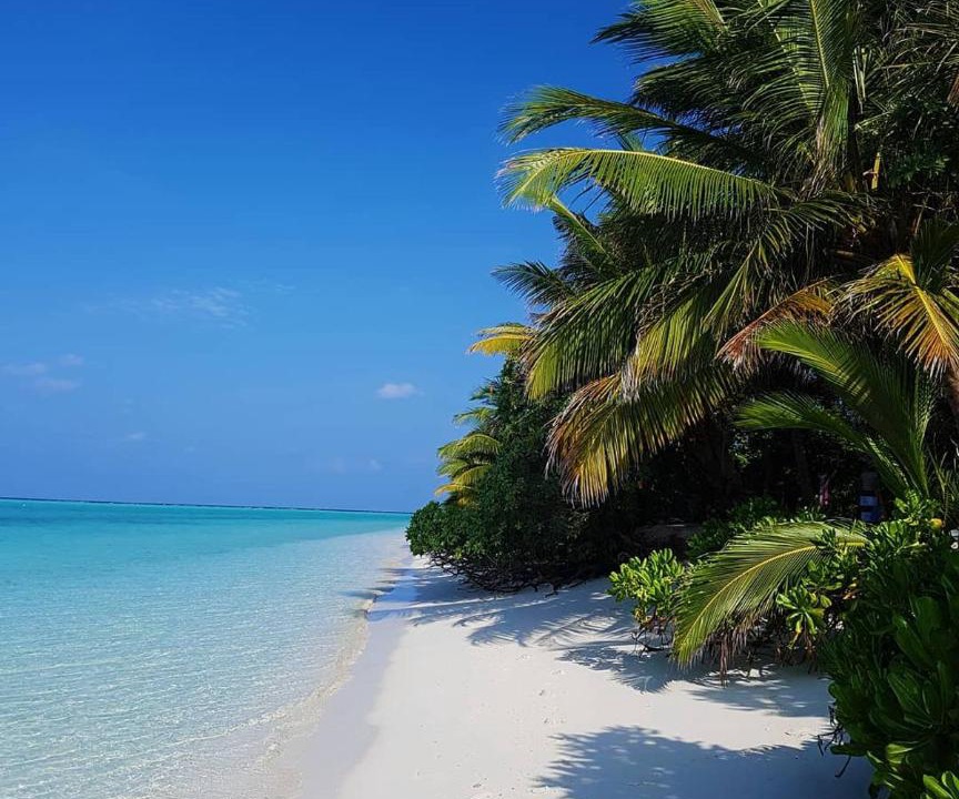 Photo of Others in Thoddoo